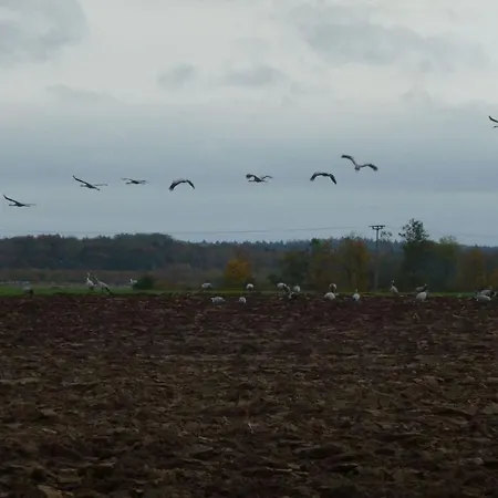 Wittow In The Wiek *